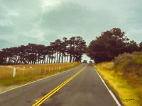 Petaluma Road to Bodega Bay