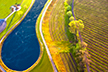Balloon Ride Sonoma, California