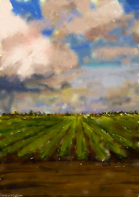 Stormy Crops