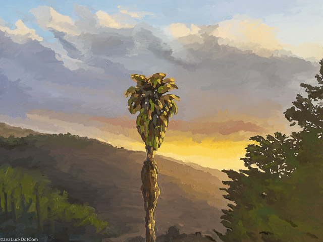 Palm Tree Sunset; Pacifica, California